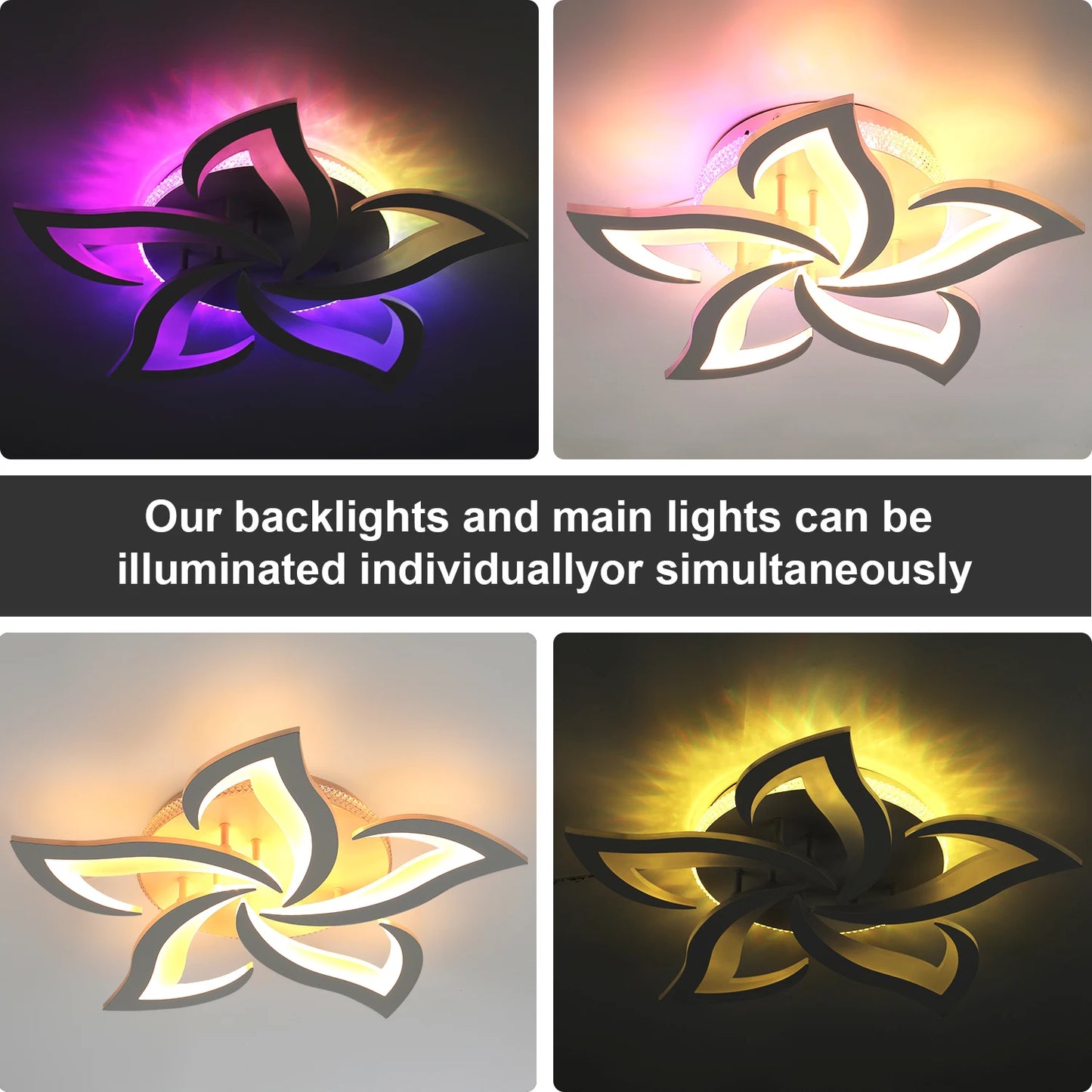 Modern Ceiling Light