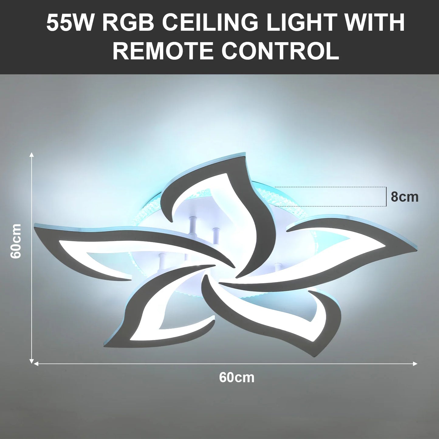 Modern Ceiling Light