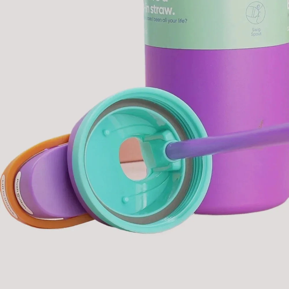 Insulated Water Bottle with Straw