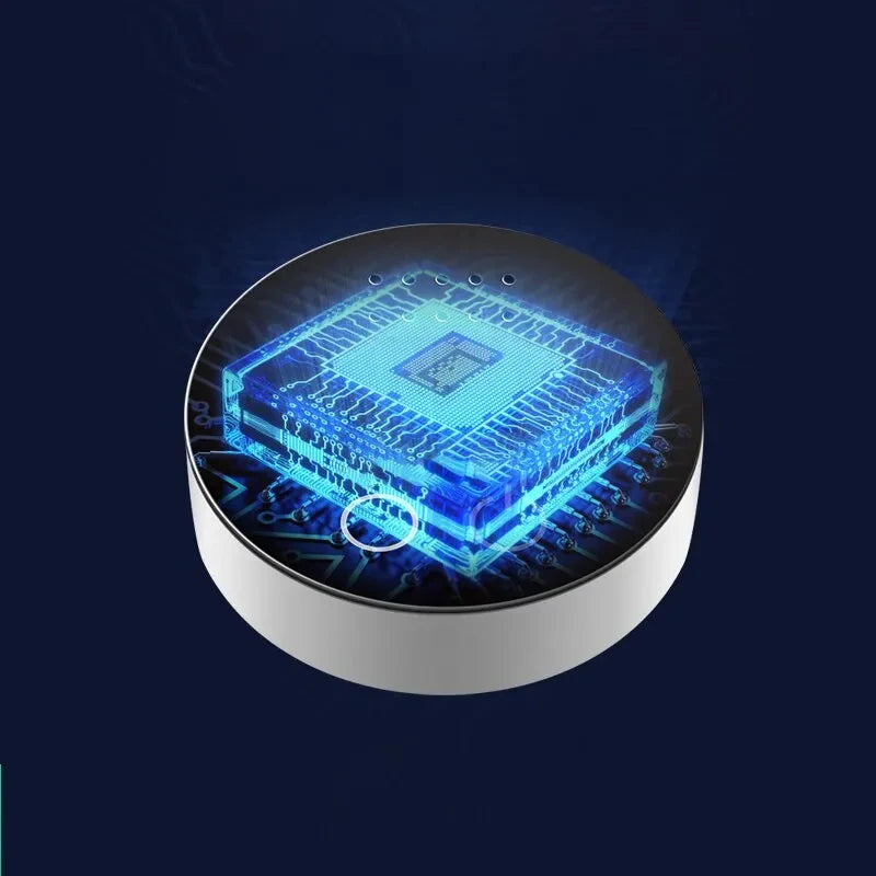 Intelligent ozone Purifier