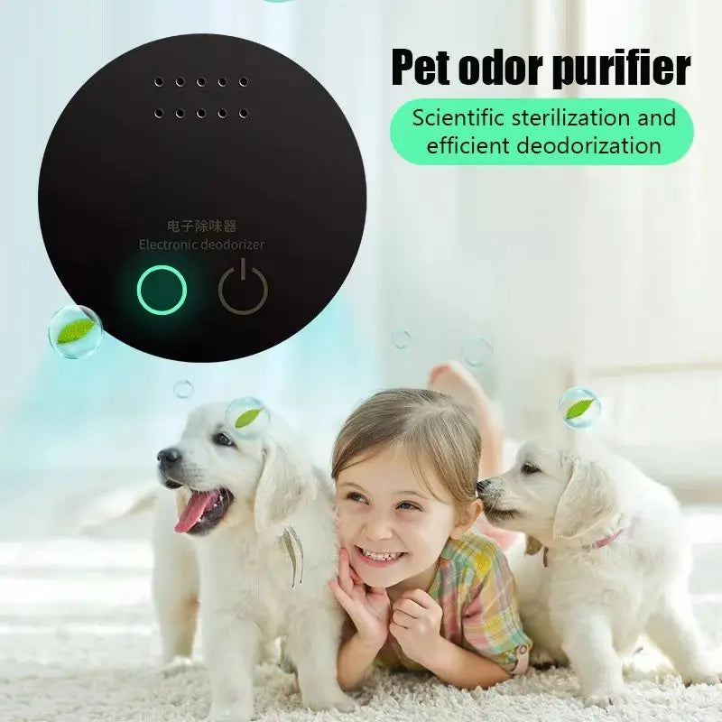 Intelligent ozone Purifier